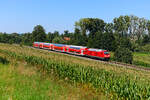Zum Aufnahmezeitpunkt war die 245 004 noch nicht allzu lange im BW Mühldorf beheimatet. Einst hat sie ihre Laufbahn im BW Kempten gestartet, war dann einige Zeit in Kiel beheimatet und verstärkt seit Ende 2024 den Bestand dieser Baureihe bei der Südostbayernbahn. Am 09. August 2025 konnte ich 245 004 in ihrem Haupteinsatzgebiet fotografieren. Bei Wasentegernbach entstand eine Aufnahme, als sie in flotter Fahrt die RB 27027 dem nächsten Halt in Schwindegg entgegen beförderte.