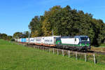 Letzter Zug, den ich im Rahmen meines 90-minütigen Aufenthalts am Bü Vogl aufnehmen konnte, war der DGS 42851 von Ludwigshafen BASF nach Trieste Campo Marzio.