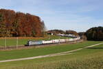 7193 903 und 6193 815 waren am 31.