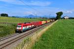 Seit einiger Zeit pendelt zwei Mal wöchentlich ein Containerzug zwischen der italienischen Hafenstadt Triest und Hengersberg in Niederbayern.