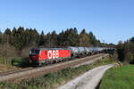 1293 187 mit einem Kesselwagenzug aus Salzburg kommend am 31. Oktober 2022 bei Grabenstätt.
