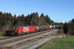 1293 015  war am 30. Dezember 2022 mit einem gemischten Güterzug bei Grabenstätt im Chiemgau auf dem Weg nach München.