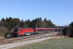 1116 223 am 8. Februar 2023 bei Sossau im Chiemgau.