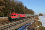 247 053 war mit einem  Müllzug  am 30. Januar 2026 bei Hufschlag in Richtung Traunstein unterwegs.