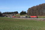 1016 042 mit einem gemischten Güterzug aus München kommend am 28.