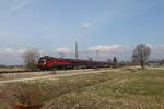 1116 156 aus Salzburg kommend am 4. März 2026 bei Übersee am Chiemsee.