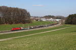 1116 125 war am 19.