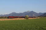 1116 209 aus Salzburg kommend am 17. April 2026 bei Bernau am Chiemsee.