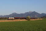 1116 156  AMA G�tesiegel  war am 17. April 2026 bei Bernau am Chiemsee in Richtung Rosenheim unterwegs.
