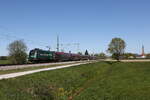 1116 248  Steiermark  aus Salzburg kommend am 30. April 2026 bei �bersee am Chiemsee.