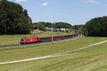 1116 238 'Osttirol' mit einem Railjet aus Salzburg kommend am 28. Mai 2026 bei Axdorf im Chiemgau.