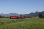 1116 230 aus Salzburg kommend am 25.