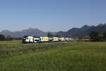 4100 xxx aus Wien kommend am 25.