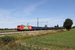 6185 205 "Das ist gr�n" aus Salzburg kommend am 30.