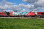 Auf dieser Korridor Strecke hat man immer gute Aussichten auf die österreichischen Werbeloks. Diesmal in der Mitte zwischen zwei Railjets am 22.10.2026 bei Bergham. 