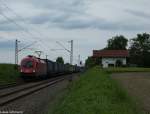 1116 103 bei Hilperting zieht die Wagen von den LKWS am 31.05.2015