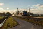 430 019 im Streiflicht bei Übersee, aufgenommen am 6.