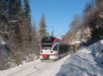 Die BLB von Berchtesgaden nach Freilassing in der Tristramschlucht bei Bischofwiesen. 05.01.2011