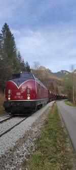 Die V200 bei Gleisbauarbeiten im Oktober 2025.