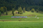 Ein LINT 54 der Bayerischen Regiobahn am 17.09.2026 kurz vor Neuhaus