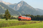 218 415-8  218 406-7 DB - Unterthalhofen 11/08/2025