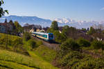 Vor alpiner Kulisse zieht 223 063 ihren Alexzug aus Lindau in die Bodolzer Kurve.