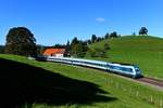 Auch wenn es nicht danach aussieht: Für dieses Bild des von 223 066 nach München HBF beförderten ALX 84107 bei Heimhofen war Standhaftigkeit und starker Einsatz gefragt.