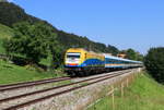 223 013 mit dem ALX84110 (München Hbf-Hergatz) bei Lamprechts 9.8.20