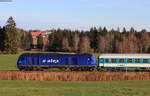 223 015 mit dem ALX 84104 (München Hbf-Lindau Hbf) bei Riedhirsch 14.11.20