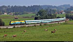 223 013-4 (Siemens ER 20-014), mit Werbung für den Bodensee-Oberschwaben Verkehrsverbund (bodo), unterwegs bei Harbatshofen (Stiefenhofen).