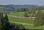 Zwei 218 sind als EuroCity unterwegs bei Oberthalhofen (Stiefenhofen).