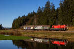 294 701-8 mit zwei Güterwagen am Weiher bei Ruderatshofen.