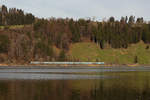 Ein Alex schlängelt sich am Mittag des 21.11.20 am großen Alpsee bei Immenstadt (Allgäu) entlang. 