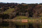 Ein einsamer Br 612 fährt entlang des großen Alpsees bei Immenstadt.