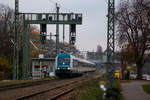 223 068 beim Posten 48 in Lindau. 27.11.20