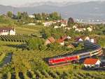 Mit Blick auf den Bodensee und die sterreichischen Berge wurde vom Herrmannsberg bei Bodolz am 26.06.2011 EC 197 von Zrich nach Mnchen fotografiert.