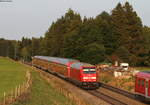 245 005-4 mit dem Lr **** (Buchloe-Kempten(Allgäu)Hbf) bei Günzach 28.8.18