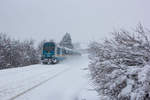Bei dichtem Schneefall am 14.1.19 in Bodolz auf dem Weg nach Lindau fährt 223 072 vor dem Alex dem Ziel entgegen.