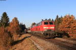 218 463-8 und 218 452-1 mit dem EC 195 (Zürich HB-München Hbf) bei Opfenbach 7.11.20