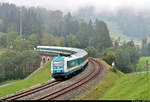 223 065-4  alexa  (Siemens ER20) unterwegs bei Unterthalhofen (Stiefenhofen).