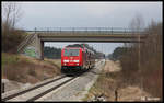 Die moderne DB Diesellok 245005 war hier am 20.3.2017 um 10.28 Uhr mit dem RB nach Memmingen wegen Bauarbeiten verspätet auf der KBS 971 bei Rammingen unterwegs.