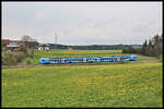 Ein blauer GoAhead Elektrotriebwagen ist hier am 1.5.2023 um 16.57 Uhr bei Laubers aus Richtung Mindelheim kommend nach Memmingen unterwegs.