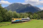 223 013 mit dem ALX 84143 (Oberstdorf-Immenstadt) bei Blaichach 7.7.20