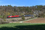 Der gemischte Güterzug EZ 44910 von Linz Vbf Ost nach Nürnberg Rbf wurde am 12. April 2025 aufgrund von verminderter Streckenkapazität auf der KBS 880 über das Altmühltal umgeleitet. Die Zuglast scheint wohl recht hoch gewesen zu sein, da 1293.077 und 1016.022 in Doppeltraktion davor gespannt waren. Ich konnte die Leistung beim Verlassen des Esslinger Eisenbahntunnels dokumentieren. 