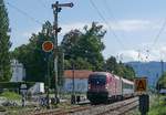 Wenige Minuten vor der Einfahrt in den Kopfbahnhof von Lindau passiert 1016 048 mit den Wagen des IC 118 von Innsbruck nach Münster (Westf) den ehemaligen Bahnübergang  Langenweg  sowie die