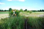 Bahnbergang kurz vor Kriegenbrunn.