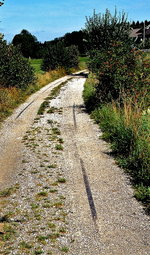 Südlich der Kreuzung mit der Straße von Waakirchen nach Point lagen im August 2007 noch einige Gleisreste der längst vergessenen Mariensteiner Bahn.