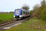 Regionalverkehr Start Alstom Coradia iLint Wasserstofftriebzug 554 103 am 05.04.24 auf der Taunusbahn