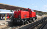Alstom 90 80 1002 045-5 D-ALS als Tfzf Richtung Bad Kösen, am 17.07.2023 in Naumburg (S) Hbf.