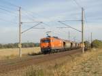 143 001 mit einem Silo-Ganzzug zwischen Magdeburg und Niederndodeleben.